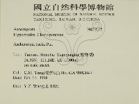 登錄號:F0008325藏品圖，第2張