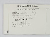 登錄號:F0008328藏品圖，第2張