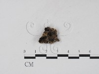 登錄號:F0008328藏品圖，第1張