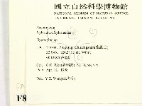 登錄號:F0008329藏品圖，第2張