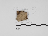 登錄號:F0008332藏品圖，第1張