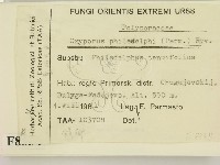 登錄號:F0008334藏品圖，第2張