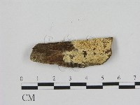 登錄號:F0008334藏品圖，第1張