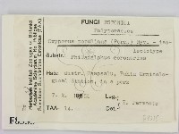 登錄號:F0008335藏品圖，第2張