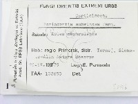 登錄號:F0008336藏品圖，第2張