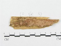 登錄號:F0008336藏品圖，第1張