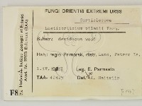 登錄號:F0008337藏品圖，第2張