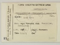 登錄號:F0008340藏品圖，第2張