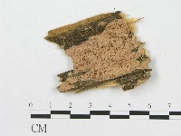 登錄號:F0008342藏品圖，第1張