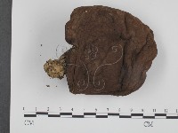 登錄號:F0008346藏品圖，第1張