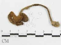 登錄號:F0008349藏品圖，第4張