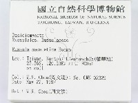 登錄號:F0008354藏品圖，第2張