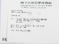 紅菇屬藏品圖，第2張