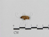 登錄號:F0008359藏品圖，第3張