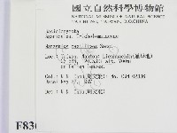 登錄號:F0008361藏品圖，第2張