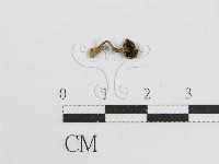 登錄號:F0008362藏品圖，第3張