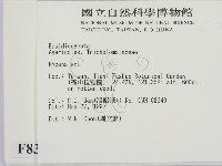 小菇屬藏品圖，第2張