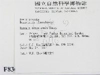 登錄號:F0008366藏品圖，第2張