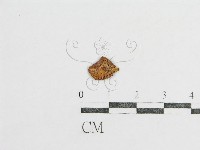 登錄號:F0008366藏品圖，第1張