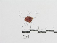 登錄號:F0008366藏品圖，第3張