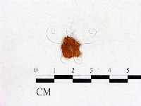 登錄號:F0008368藏品圖，第1張