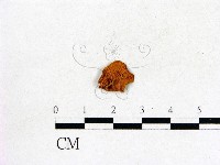 登錄號:F0008368藏品圖，第3張