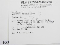 粉褶菌屬藏品圖，第2張