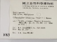 登錄號:F0008371藏品圖，第2張