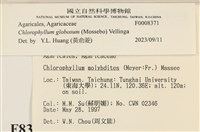 登錄號:F0008371藏品圖，第4張