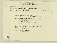 登錄號:F0008372藏品圖，第2張