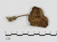 登錄號:F0008372藏品圖，第3張