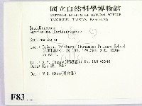 登錄號:F0008373藏品圖，第2張