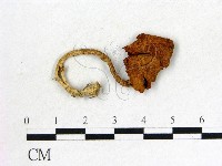 登錄號:F0008373藏品圖，第1張