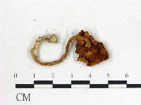 登錄號:F0008373藏品圖，第3張