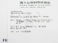 登錄號:F0008374藏品圖，第2張