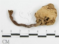 登錄號:F0008374藏品圖，第3張