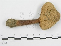 登錄號:F0008375藏品圖，第1張