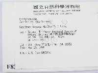 登錄號:F0008376藏品圖，第2張