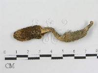 登錄號:F0008376藏品圖，第1張