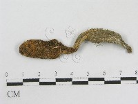 登錄號:F0008376藏品圖，第3張