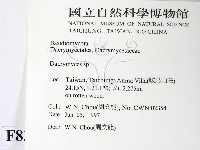 花耳屬藏品圖，第2張