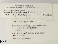 登錄號:F0008378藏品圖，第2張