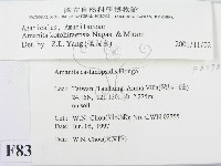 登錄號:F0008378藏品圖，第3張