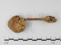 登錄號:F0008378藏品圖，第1張