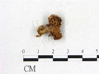 登錄號:F0008380藏品圖，第3張