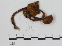 登錄號:F0008381藏品圖，第1張