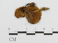 登錄號:F0008384藏品圖，第1張