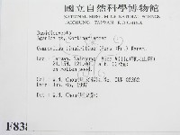 登錄號:F0008385藏品圖，第2張