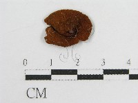 登錄號:F0008385藏品圖，第1張