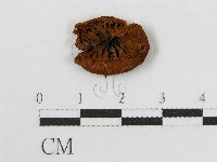 登錄號:F0008385藏品圖，第3張